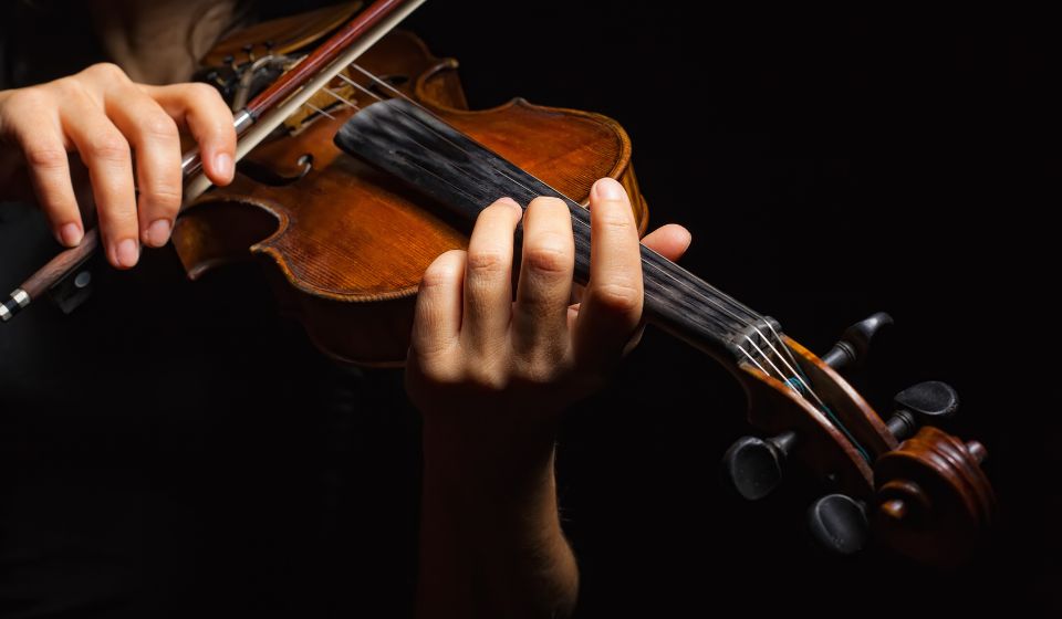 violin